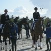 Le nostre medaglie - le nostre medaglie - paralimpica